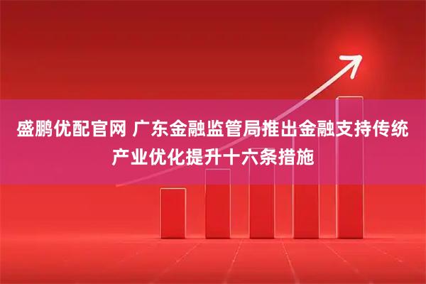 盛鹏优配官网 广东金融监管局推出金融支持传统产业优化提升十六条措施