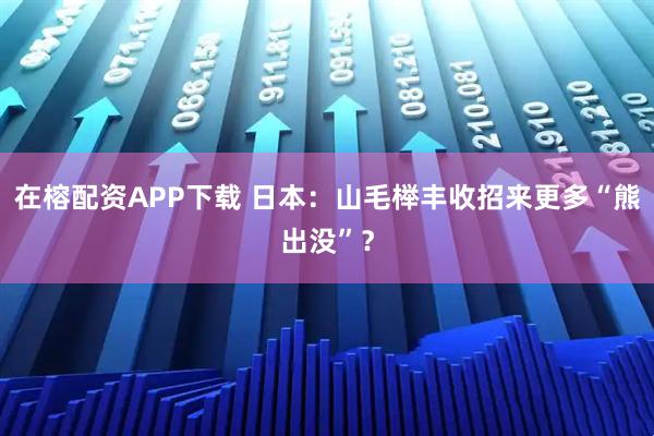 在榕配资APP下载 日本:山毛榉丰收招来更多“熊出没”?