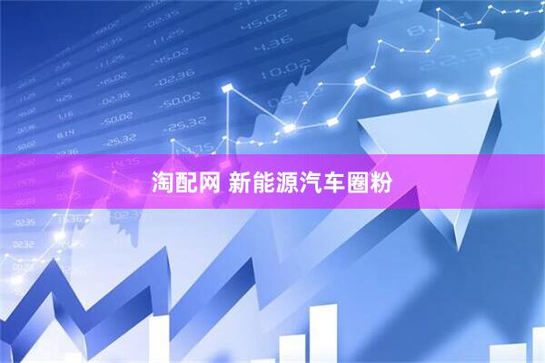 淘配网 新能源汽车圈粉